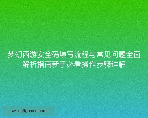 梦幻西游安全码填写流程与常见问题全面解析指南新手必看操作步骤详解